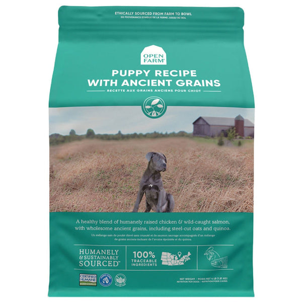 AncientGrain_47bab8a9-b845-49aa-a678-2614cc79e057_600x.jpg