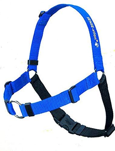 Blue_600x.jpg