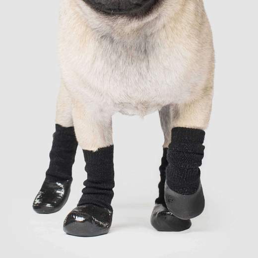 CanadaPooch-socks_bdba4da1-8c9c-443b-ae73-bdbff5d09b50_600x.jpg