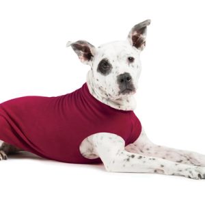 Gold Paw Series - Stretch Fleece for Dogs