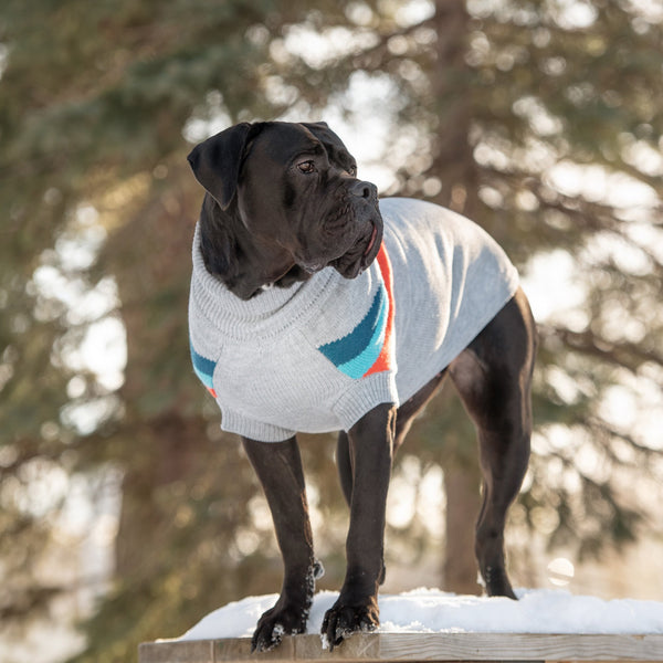 GF-Pet-Alpine-Grey-Mix-3_600x.jpg