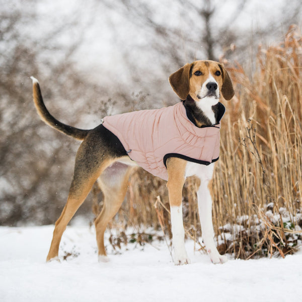 GJ390F0REVERSIBLECHALETJACKETPINK-WEB6_1024x1024_2x_29d4ced0-5983-44ef-b901-cd166e48cf3e_600x.jpg