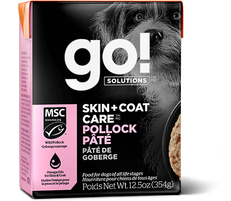 GOTetra_Dog_SC_PollockPate_Web_600x.png