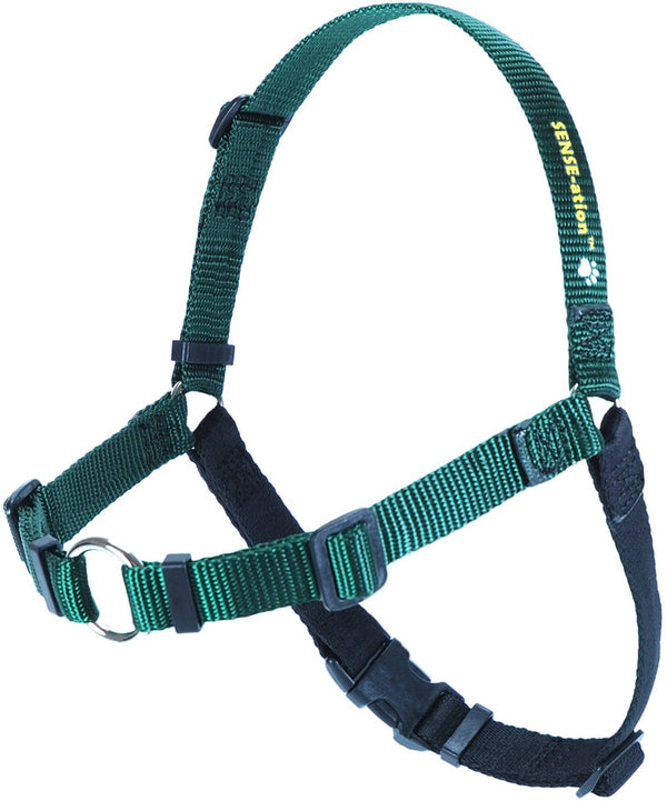 Green_600x.jpg