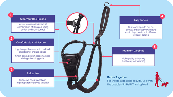 Halti_No-Pull-Harness_Features_Close-Ups_1100x620-1_600x.png
