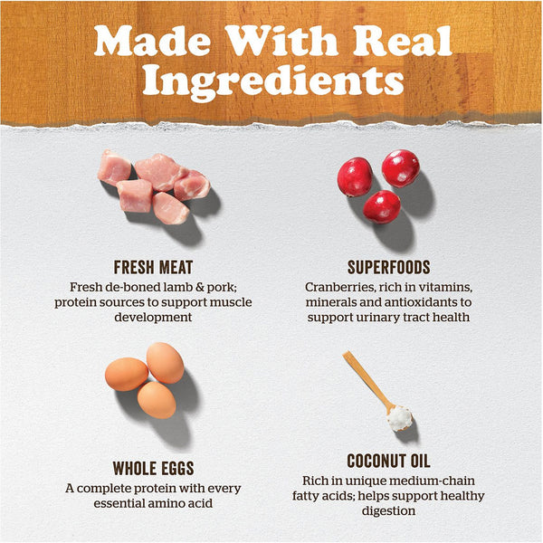 Ingredients_3464a142-0892-4342-9167-ad754873b3fb_600x.jpg