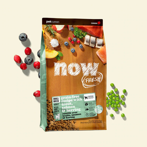 Ingredients_3bb695b2-dfdc-41d0-93d5-f1121176a126_600x.jpg