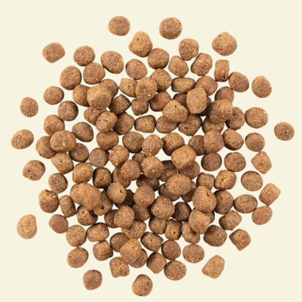 Kibble_600x.jpg