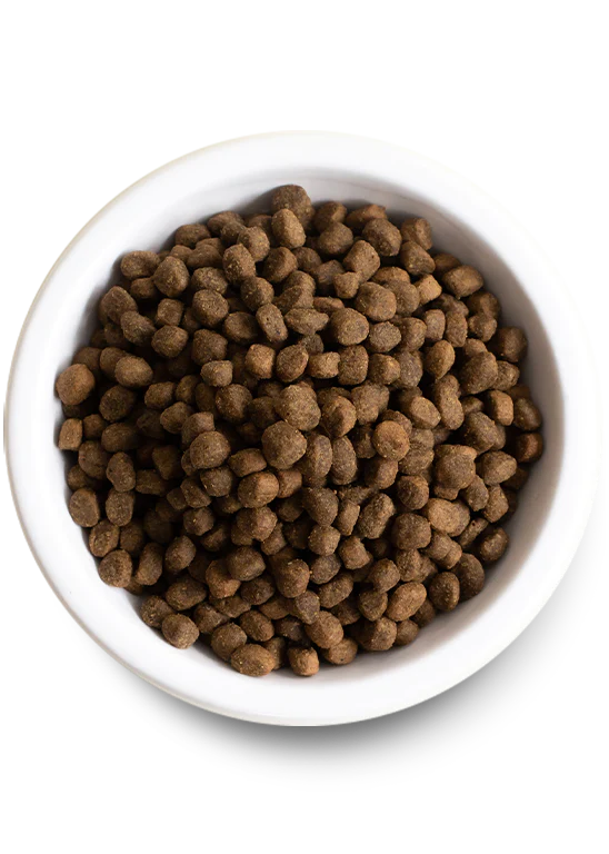 PDP_KE_Insect_02_Bowl_548x768_crop_center_42044a77-b1ad-4f77-a959-7c143f416a52_600x.png