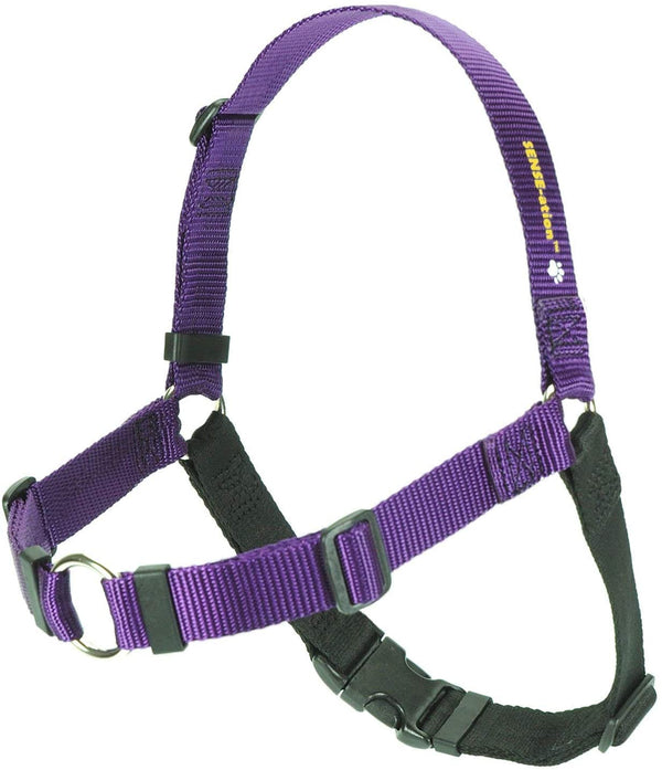 Purple_600x.jpg
