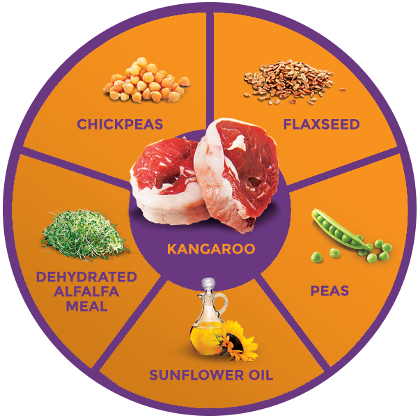 QUADRANT_KANGAROO_600x.png
