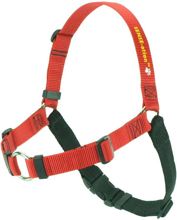 Red_600x.jpg