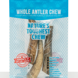 This & That Antler Chew