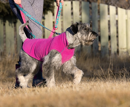 baselinefleece_600x.jpg