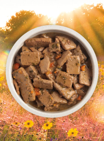 beefcan2_600x.png