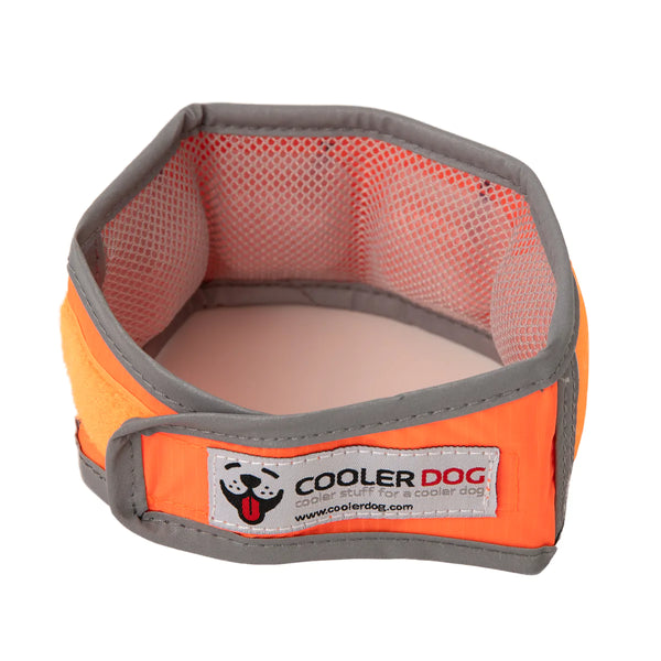 coolerdogorange1_600x.jpg