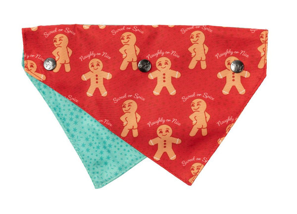 fzb483_bowtie_naughtyginger_sm_front_600x.jpg