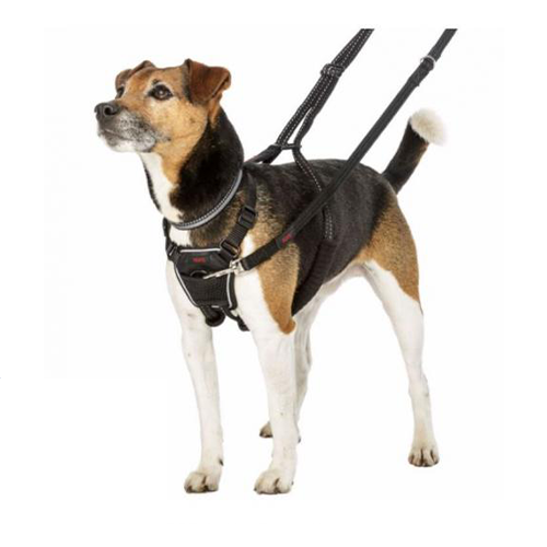 halti_600x.png