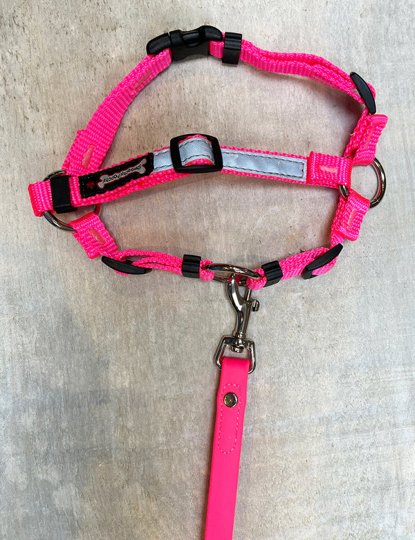 harness2_600x.jpg