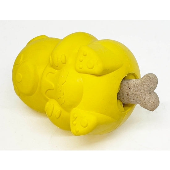 honeybear2_600x.jpg