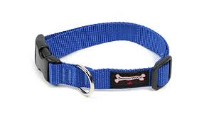 nylon_collar_ocean_600x.jpg