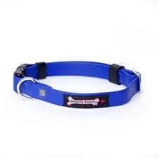 poly_buckle_ocean_600x.jpg