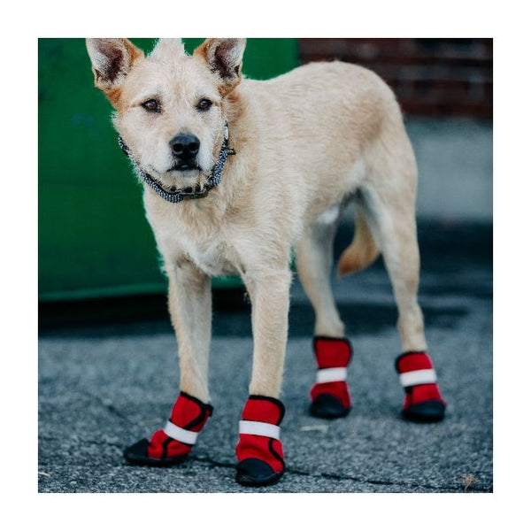 silver-paw-silver-paw-easy-fit-neoprene-dog-boots_1_600x.jpg
