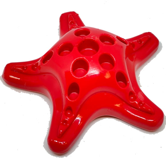 starfish2_4dafc961-a4ee-4e15-a54e-0c75a420f944_600x.jpg